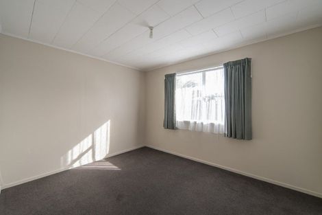Photo of property in 163 Galloway Street, Hamilton East, Hamilton, 3216