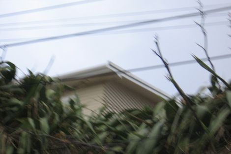 Photo of property in 63 Mantell Street, Seatoun, Wellington, 6022