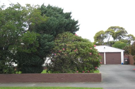 Photo of property in 128 Tiro Tiro Road, Levin, 5510