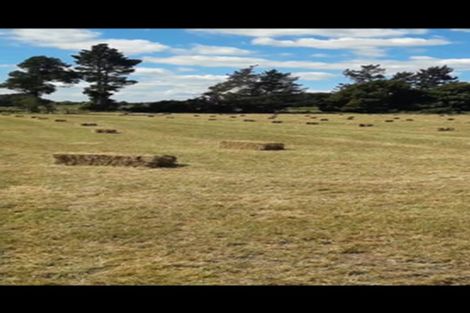 Photo of property in 105 Willis Road, Ngahinapouri, Hamilton, 3290