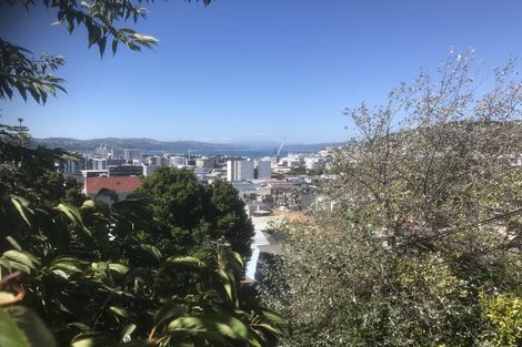 Photo of property in 59 Hankey Street, Mount Cook, Wellington, 6011