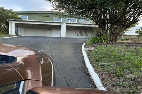 Photo of property in 125 Barrack Road, Mount Wellington, Auckland, 1060