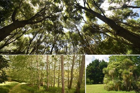 Photo of property in 245 Metcalfe Road, Matakohe, 0593