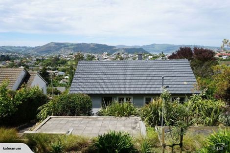 Photo of property in 21 Prospect Bank, Wakari, Dunedin, 9010