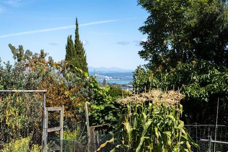 Photo of property in 20 Douglas Road, Wakatu, Nelson, 7011