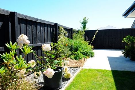 Photo of property in 45 Zabeel Street, Lincoln, 7608