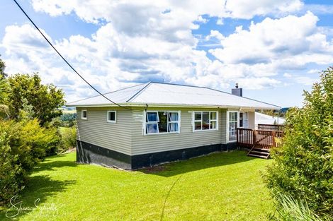 Photo of property in 46 Gorge Road, Maungaturoto, 0520