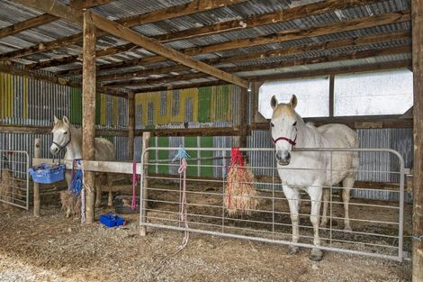 Photo of property in 99 Franklin Road, Parua Bay, Onerahi, 0192