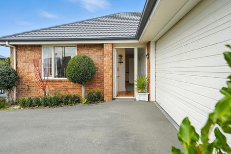 Photo of property in 43 Parade Court, Addington, Christchurch, 8024