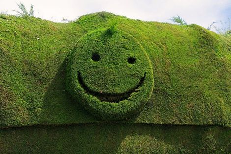 Photo of property in 1235 Parnassus Road, Ferniehurst, Cheviot, 7384