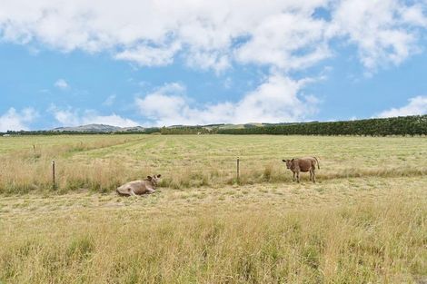 Photo of property in 249 Stanton Road, Amberley, 7482