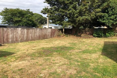 Photo of property in 48 Blackburn Street, Frankton, Hamilton, 3204