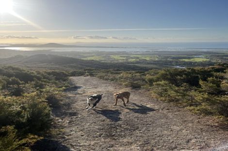 Photo of property in 109 Doubtless Bay Drive, Karikari Peninsula, 0483