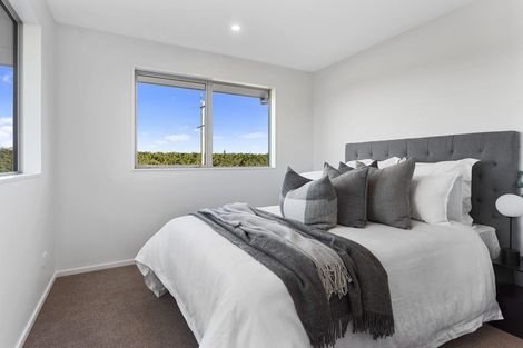 Photo of property in 113 Benashet Drive, Lincoln, 7608