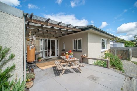 Photo of property in 17 Fastnet Street, Alexandra, 9320