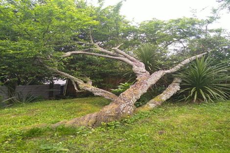 Photo of property in 67 First Avenue, Kingsland, Auckland, 1021