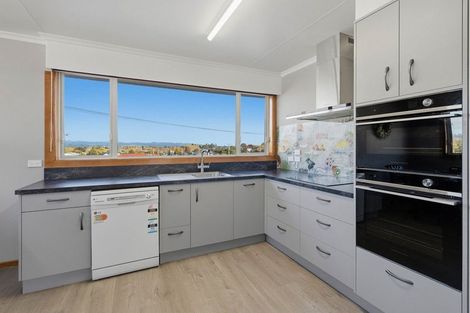 Photo of property in 53 Elizabeth Street, Gore, 9710
