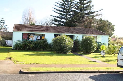 Photo of property in 19 Dewhurst Place, Favona, Auckland, 2024