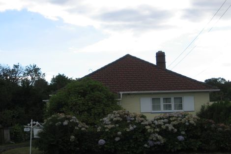 Photo of property in 20 Newcastle Terrace, Mount Albert, Auckland, 1025