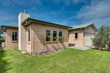 Photo of property in 117 Hunter Drive, Awatoto, Napier, 4110