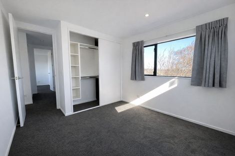 Photo of property in 3b Simeon Street, Somerfield, Christchurch, 8024