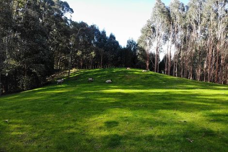 Photo of property in 74 Mick Dillon Road, Tahekeroa, Kaukapakapa, 0873