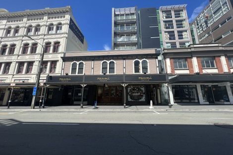 Photo of property in The Wellington Suites, 892/233 Cuba Street, Te Aro, Wellington, 6011
