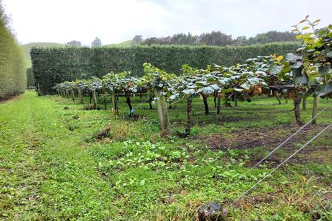 Photo of property in 809 Pikowai Road, Pikowai, Whakatane, 3194