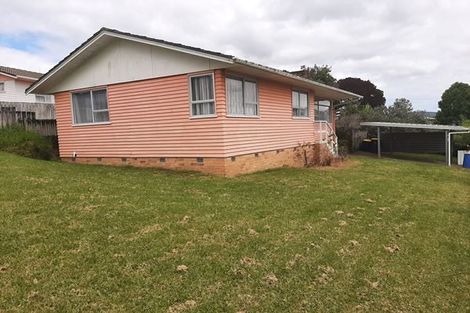 Photo of property in 33 Kaikoura Street, Henderson, Auckland, 0612