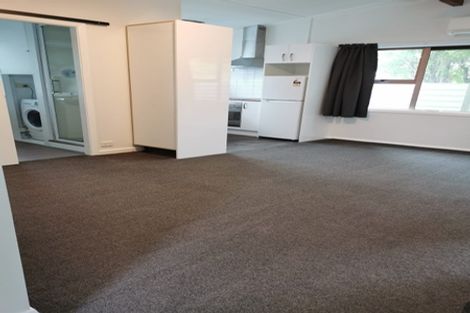 Photo of property in 55 Brook Street, The Brook, Nelson, 7010