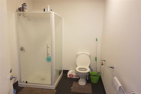 Photo of property in Hanson House, 27ua Hanson Street, Mount Cook, Wellington, 6021