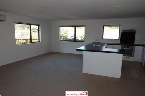 Photo of property in 43b Littlebourne Road, Roslyn, Dunedin, 9010