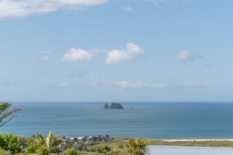 Photo of property in 171 Centennial Drive, Whitianga, 3510