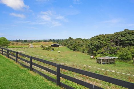Photo of property in 126 Gatfield Road, Kaukapakapa, 0873