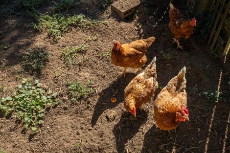 Photo of property in 540 Mountain Road, Lepperton, New Plymouth, 4373