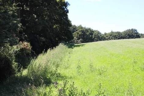 Photo of property in 306 Lillburn Monowai Road, Dean, Tuatapere, 9691