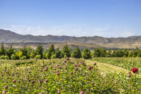 Photo of property in 42d Gladsmuir Road, Queensberry, Cromwell, 9383