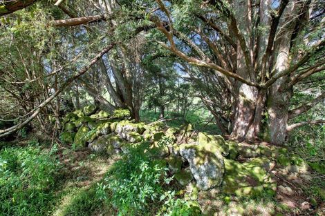 Photo of property in 8 Clover Lane, Te Kamo, 0185