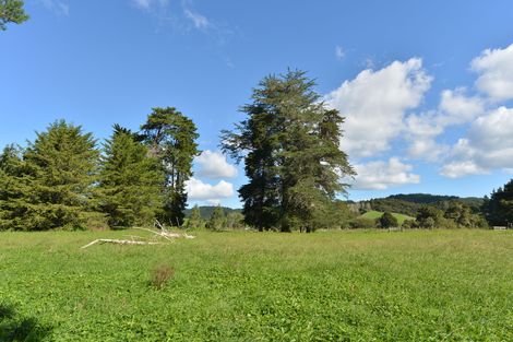Photo of property in 127 Mcbreen Road, Hikurangi, 0181