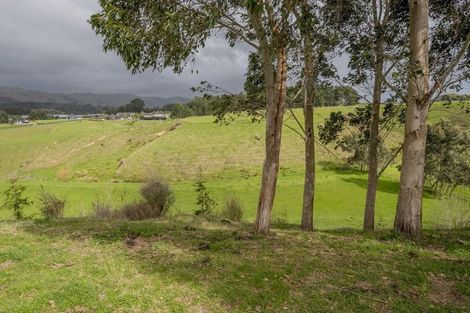 Photo of property in 91 Buckley Road, Shannon, Palmerston North, 4474