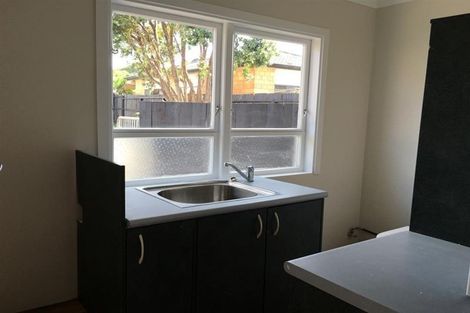 Photo of property in 223 Puhinui Road, Papatoetoe, Auckland, 2025