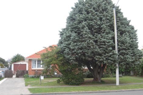 Photo of property in 99 Nuffield Avenue, Marewa, Napier, 4110