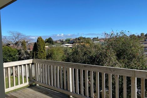 Photo of property in 17a Thomson Avenue, Dinsdale, Hamilton, 3204