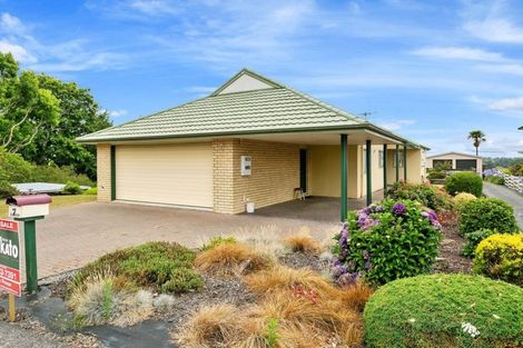 Photo of property in 7 Terrace Street, Putaruru, 3411