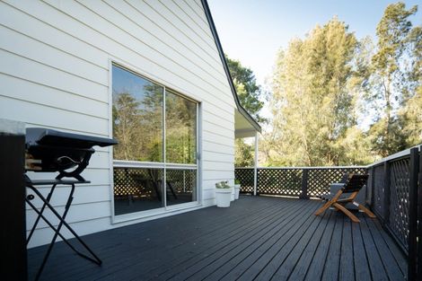 Photo of property in 8 Elizabeth Place, Ferndale, New Plymouth, 4310