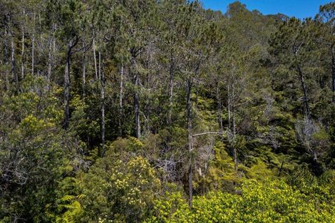 Photo of property in 8 Patricia Place, Hahei, Whitianga, 3591