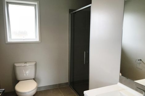 Photo of property in 19 Pyne Crescent, Pokeno, 2402