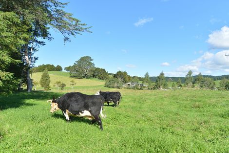 Photo of property in 127 Mcbreen Road, Hikurangi, 0181