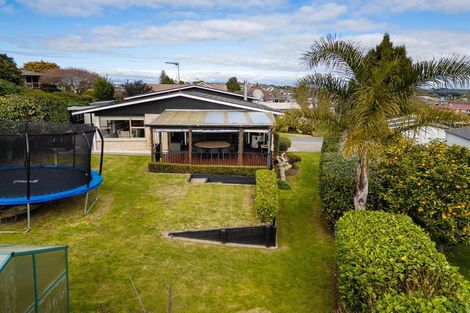 Photo of property in 376 Douglas Avenue, Te Awamutu, 3800