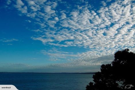 Photo of property in 11f Joan Street, Point Chevalier, Auckland, 1022